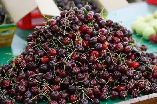 Olcha sotiladi 9 kg dan ko’p oladigan odamla tel qisin — 1